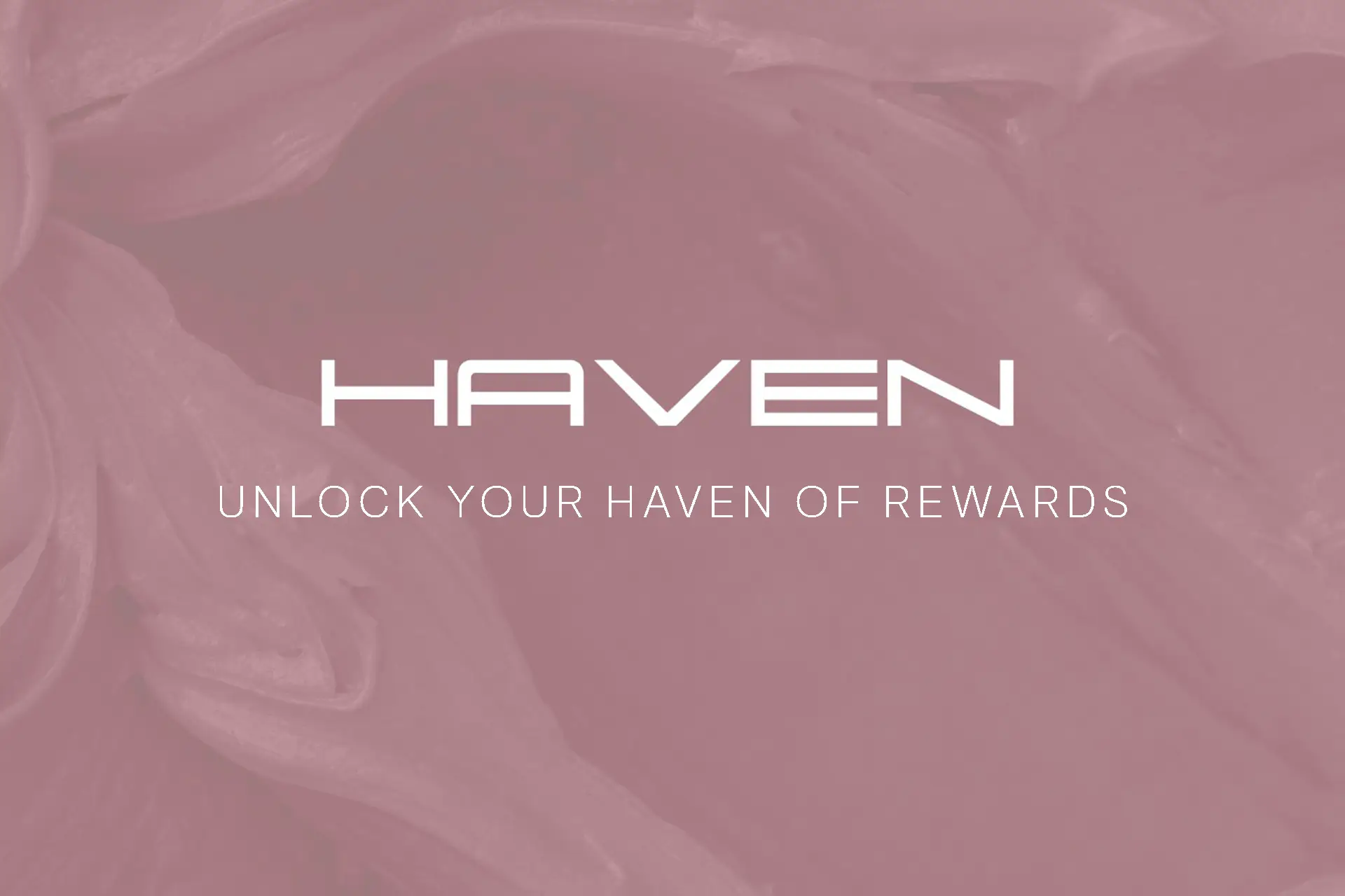 Haven Club lounge