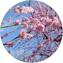 Bioselecta International co. profile picture