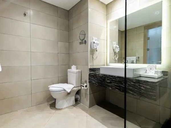 Deluxe room 10